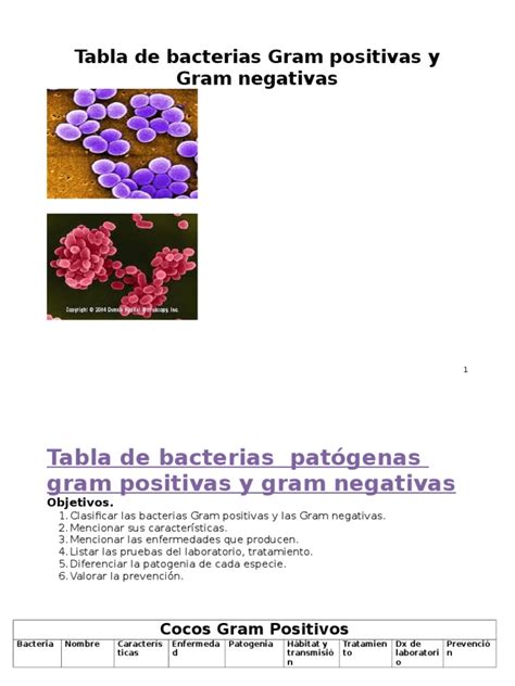 Tabla De Bacterias Gram Positivas Y Negativas Ántrax Patologia Clinica