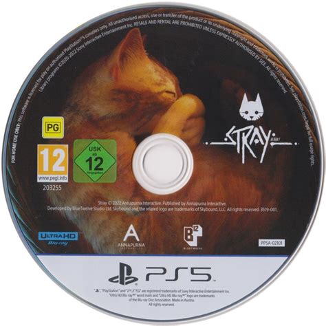 Stray (2022) box cover art - MobyGames