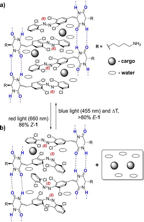 Molecular Syringe For Cargo Photorelease Red‐light‐triggered