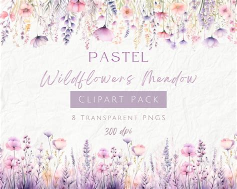 Aquarell Pastell Wildblumen Clipart Wildblumen Aquarell PNG