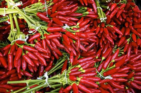 143 Tiny Red Hot Chili Peppers Stock Photos Free Royalty Free Stock Photos From Dreamstime
