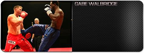 Fighter World Combat League Official Website