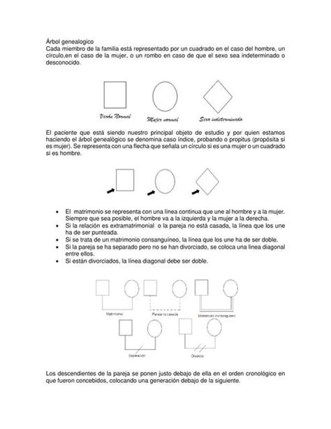 Arbol Genealogico Micaela Wara Paredes Marca UDocz