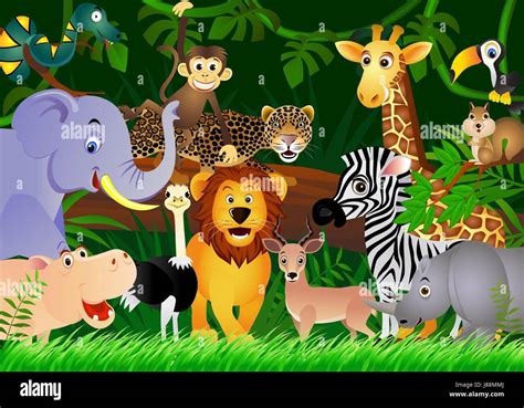 Cartoon Safari Animals Pictures