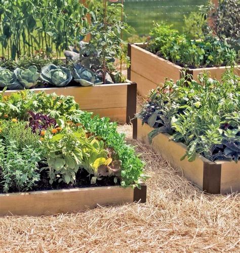 Create A Raised Bed Instantly With These Heavy Duty Aluminum Raised Bed Corners Learn How To