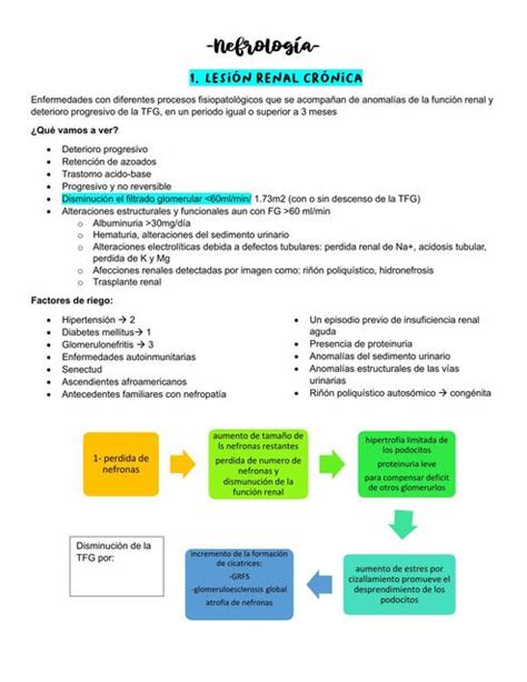 Lesión Renal Crónica Gretel Vargas Udocz