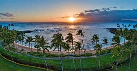 Where to Find the Best Snorkeling In Lahaina & West Maui: 2025 Guide!