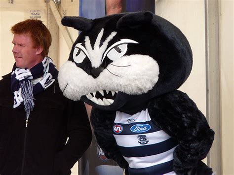 Tim Mcgrath And 12 Cat Geelong Post Grand Final Supporter Flickr