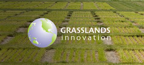 Grasslands Innovation Ltd Pgg Wrightson Seeds