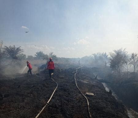 Waspada Banjir Malam Ini Riau Diguyur Hujan Lebat Tak Merata