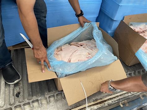 กรมศุลกากรอนุมัติทำลายหมูเถื่อน จำนวน 159 ตู้ รวม 431 ล้านกิโลกรัม