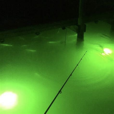 Comparing Floating Fishing Lights With Submersible Fishing Lights