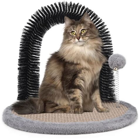 Amazon Aikopets Cat Scratching Post With Cat Arch Cat Self Groomer