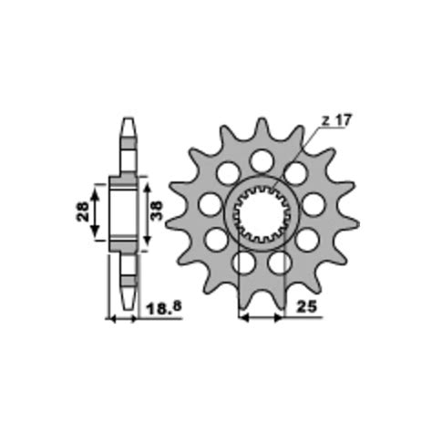 Pignon PBR Acier Standard 2098 520 1077564004 Pignon