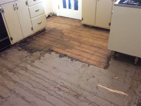 Removing Linoleum Flooring And Subfloor Shala Cable