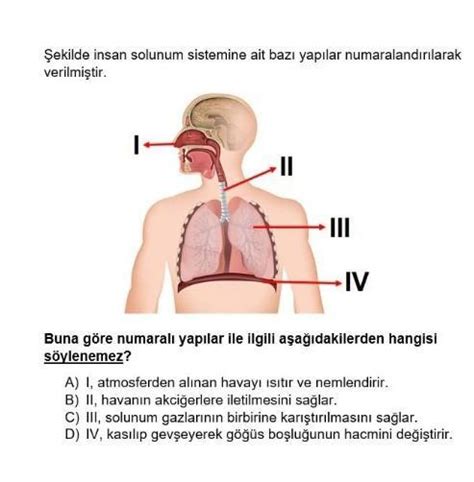 Yaparmısınız biraz hızlı Eodev