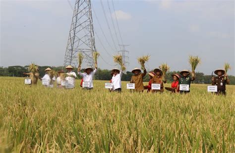 Antisipasi Dampak Elnino Dan Krisis Pangan Global Kementan Gelar Rakor