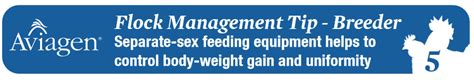 Flock Management Tip For Breeders Separate Sex Feeding Equipment Helps