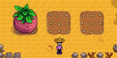 Stardew Valley How To Get Giant Crops