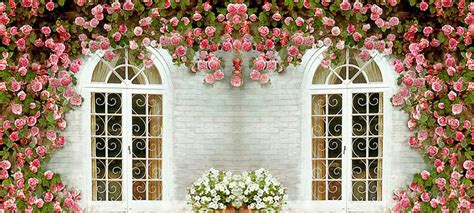 Free Flower, Vine, Window Background Images, Flower Vine Window Wall ...