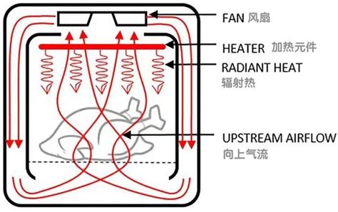 空气炸锅会带来健康风险？做好这4件事，健康吃、放心用——上海热线侬好频道