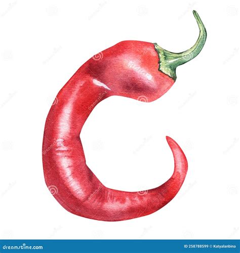 Red Chili Hot Pepper Watercolor Illustration Isolated On White Background Stock Image Image