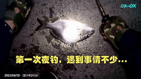 釣魚海钓磯釣breamflaghead 第一次夜钓，摄像机不给力，还是少有收获，没白走一趟。 Youtube