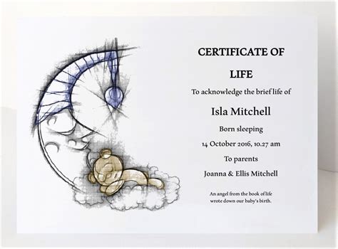 The Certificate Of Life A Beautiful Acknowledgment Of Your Etsy Uk