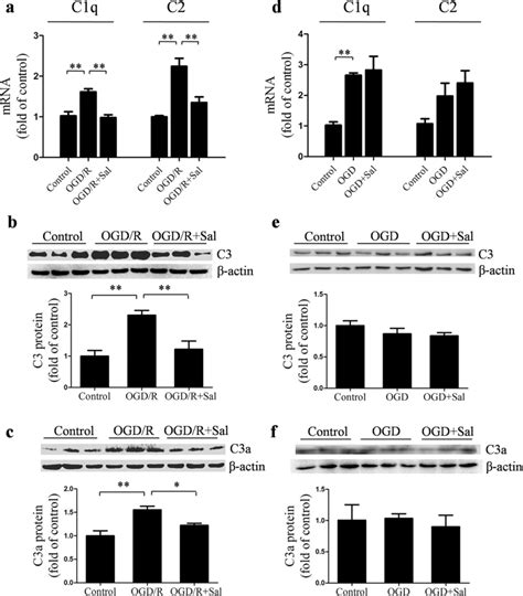 Effects Of Salidroside Sal On C1q C2 And C3 In Huvec Subjected To