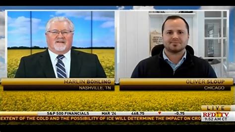 Pressure in Grain Markets Continues Ahead of Big Reports - YouTube