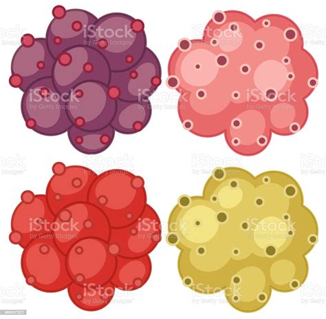 다른 박테리아의 세트 세포에 대한 스톡 벡터 아트 및 기타 이미지 세포 암 벡터 Istock
