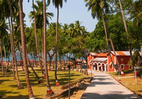 Best Things To Do In Port Blair In A Day Sea Shell Resorts