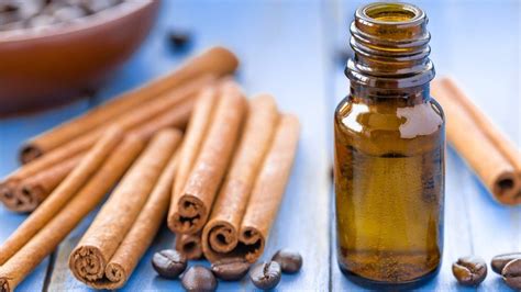 Aceite De Canela Contraindicaciones Beneficios Y Propiedades