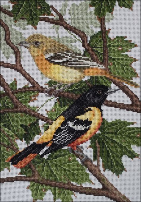 Baltimore Oriole Cross Stitch Birds