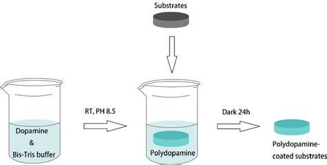 Typical Process In The Preparation Of Pda Download Scientific Diagram