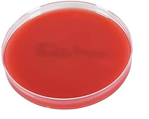 Tryptic Soy Agar Defibrinated Sheep Blood Ref Pd Cmc