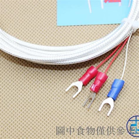 熱賣pt100溫度傳感器鉑熱電阻電偶精密wzp Pt100探頭式防腐防水型高溫 蝦皮購物