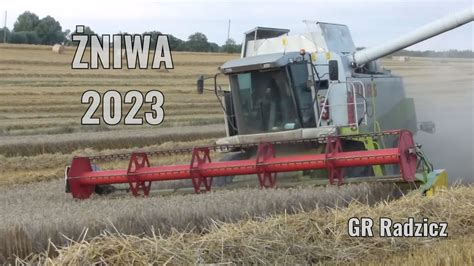 Żniwa 2023 Pszenżyto w gr Radzicz Claas Lexion 460 Massey Ferguson