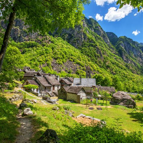 ticino wine region  merlot alpine vines winetourismcom