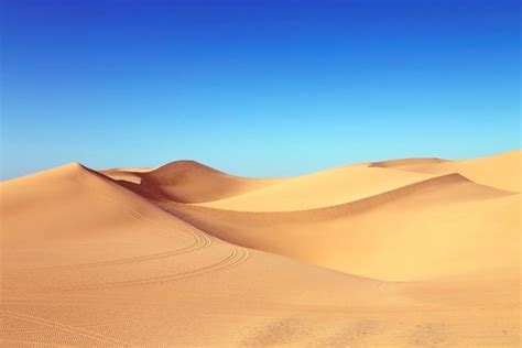 Foto Gratis Deserto Duna Di Sabbia Tramonto Alba Cielo Paesaggio