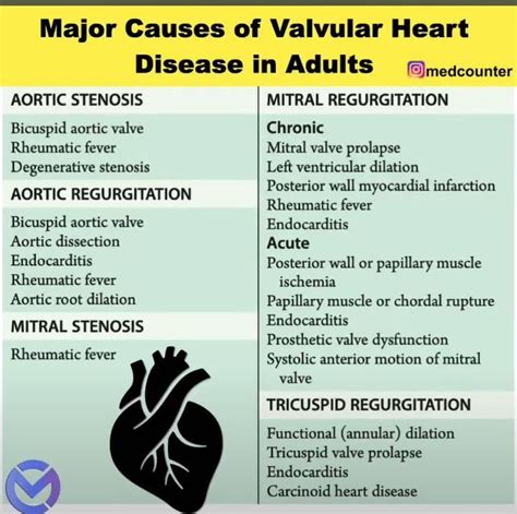 Valvular Heart Disease Causes Medizzy