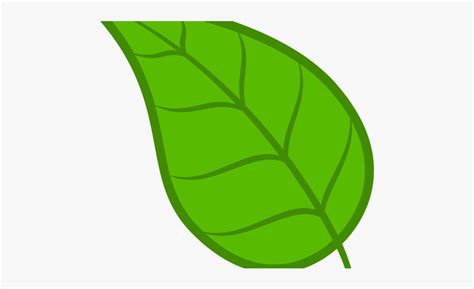 Leaves Clipart Cartoon Leaves Cartoon Transparent Free For Download On