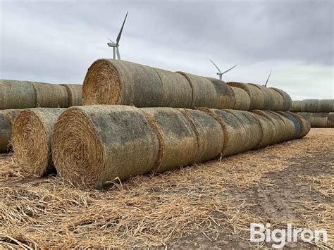 Sorghum Sudangrass Round Hay Bales Bigiron Auctions