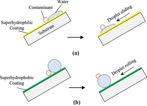 Illustration Of Self Cleaning Coating Showing A Superhydrophilic And Download Scientific