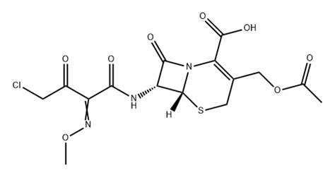 Thia Azabicyclo Oct Ene Carboxylic Acid Acetyloxy