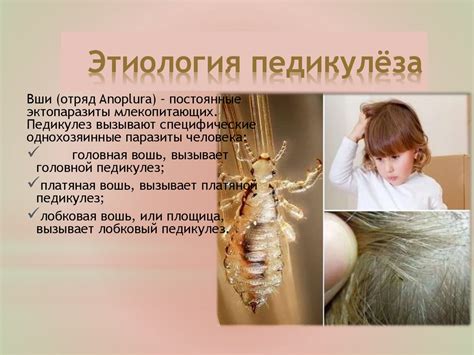 Методика обработки ребенка при педикулезе - презентация онлайн