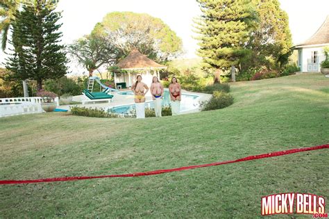 Big Boob Bundle Performed By Gya Micky Bells Terri Jane Porn Gallery CoedCherry