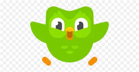 Duolingo Telegram Stickers Duolingo Logo Pngduolingo App Icon Free