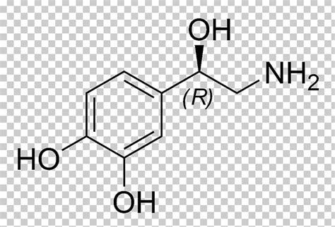 Dopamine Molecule Neurotransmitter Norepinephrine Serotonin PNG ...