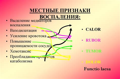 Воспаление. Этиопатогенез синдрома системного воспалительного ответа ...